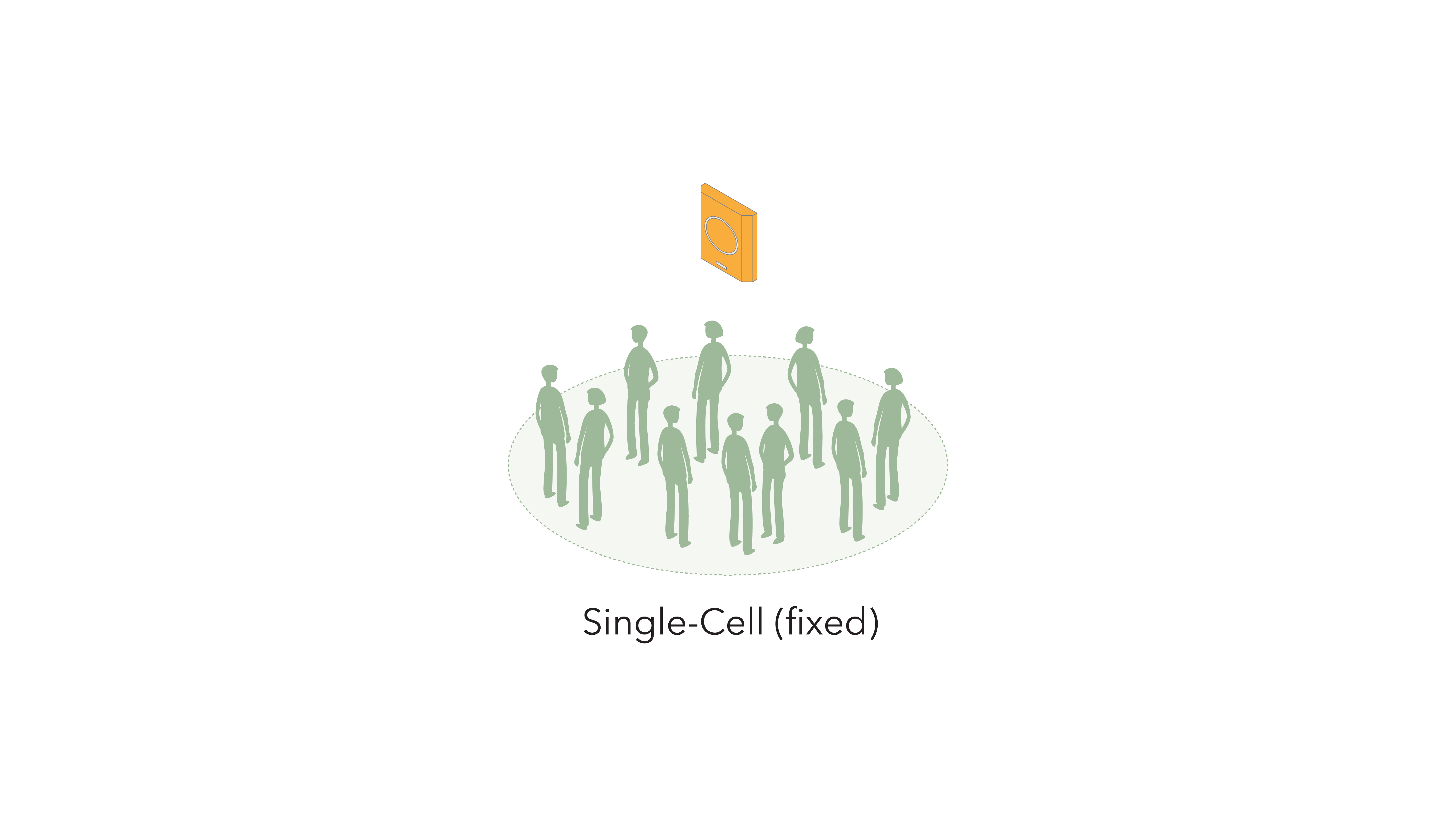 single cell